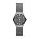 Grey Mesh Titanium Watch