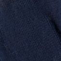 Blue Stripe