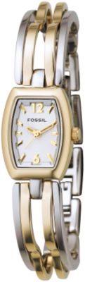 Analog Silver Dial (ES2019P)