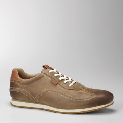 Fossil Poulson Runner
