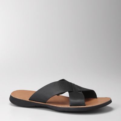 Fossil Ben Slide

