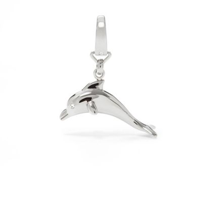 JF00676 - Dolphin Charm