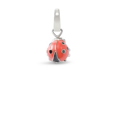 JF86007 - Ladybug Charm