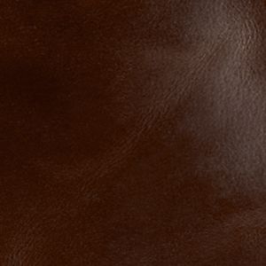 MBG1157201