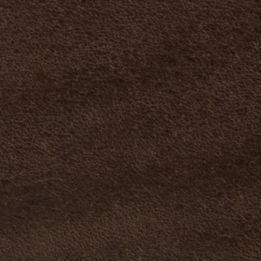 ML4190200