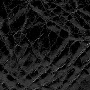 ML483761001