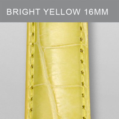16mm Bright Yellow Alligator