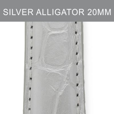 20mm Silver Alligator