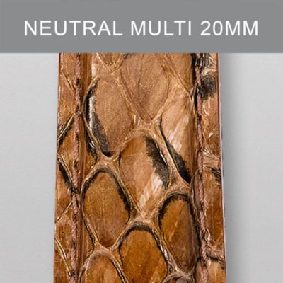 20 mm Neutral Multi Fashion Snake