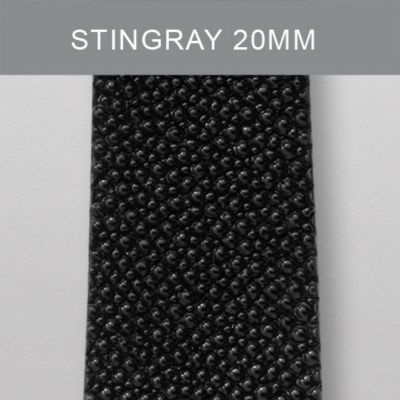 20 mm Black Stingray