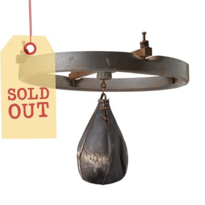 SDI5423 - Boxing Speed Bag