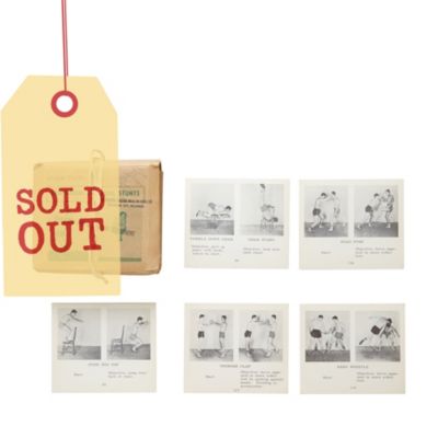 SDI5453 - Physical Education Instructional Cards