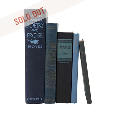 SDI5553 - Vintage Blue Books