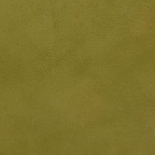 GREEN MULTI