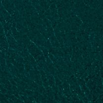 SL2421407
