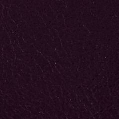 SL2421540
