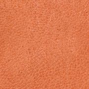 SL2570800