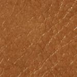 SL2585235