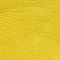 CITRUS