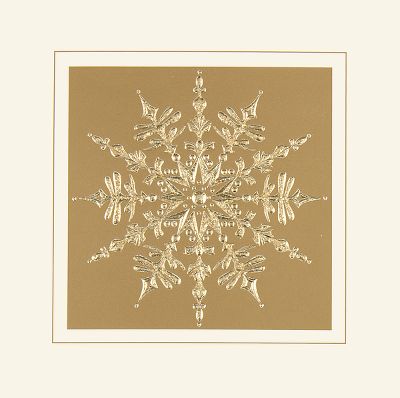 business christmas cards, holiday cards