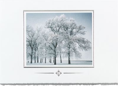 corporate holiday cards, personalized holiday cards