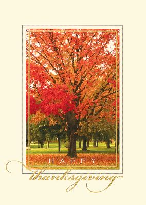 thanksgiving greeting cards, business holiday cards