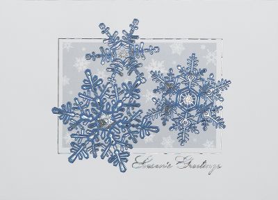 holiday greeting cards, business holiday greeting cards