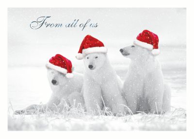 Front of Card
