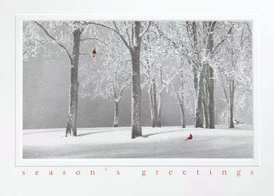 corporate holiday cards, personalized holiday cards