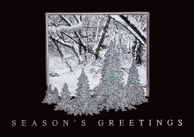 christmas cards, holiday greeting cards