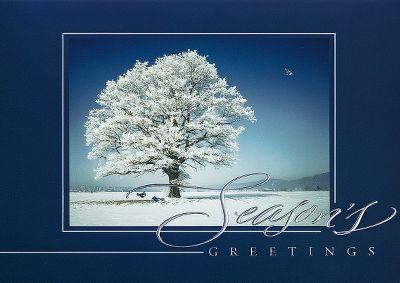 corporate christmas cards, business holiday cards