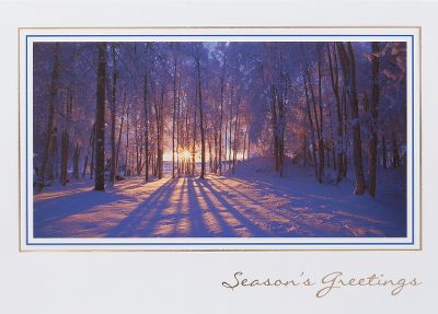 holiday greeting cards, business holiday greeting cards