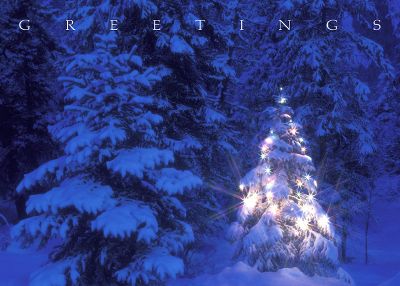 business holiday greeting cards,corporate holiday cards
