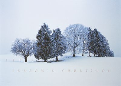 personalized holiday cards, corporate christmas cards