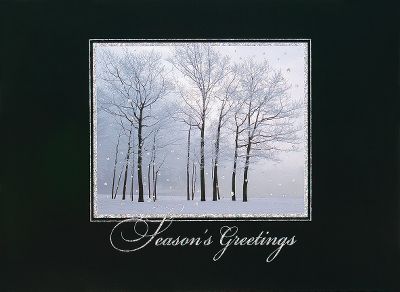 corporate holiday cards, personalized holiday cards