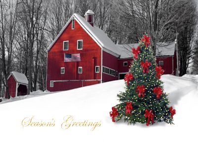 holiday cards for business, personalized holiday cards