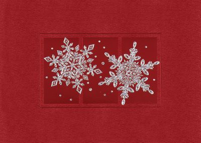 corporate christmas cards, business holiday cards