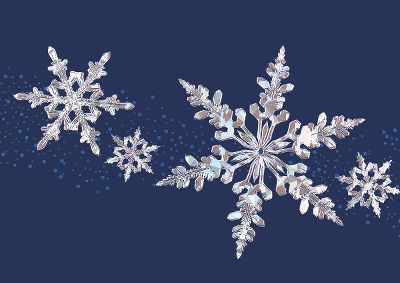 business christmas cards, holiday cards