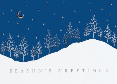 business holiday cards, holiday greeting cards