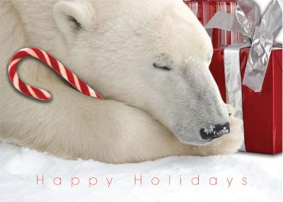 funny christmas cards, holiday cards