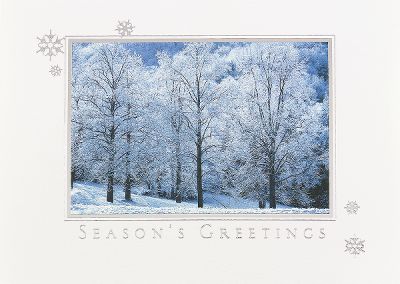 personalized christmas cards, business christmas cards