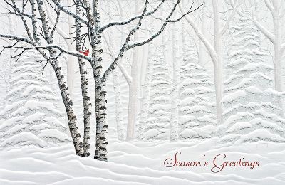 christmas cards, holiday greeting cards