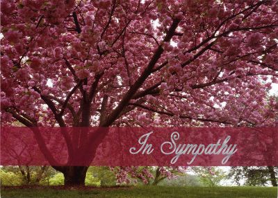 sympathy cards, holiday cards