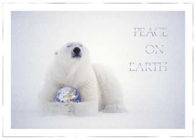 christmas cards, holiday greeting cards