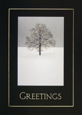 holiday cards, business christmas cards