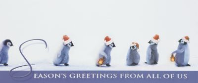 business holiday greeting cards, personalized christmas cards