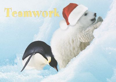 business christmas cards, holiday greeting cards