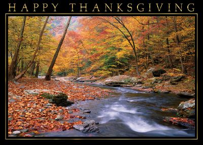 Front of Card