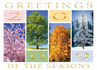 new year cards, holiday cards