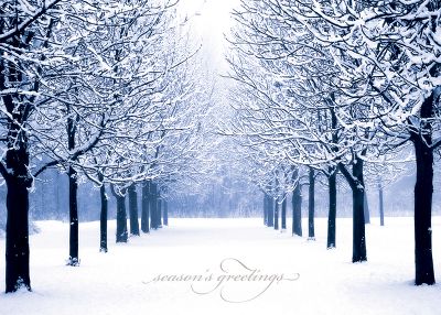 Winter's Path